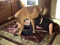 Amateur beastiality sex with dog and slut